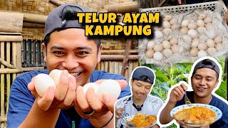 GE BAMS PANEN TELUR AYAM KAMPUNG…‼️ challange nyobain  mie instan yang belum pernah Gebams Makan