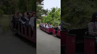 All Aboard the Little Puffer Train at SF Zoo!