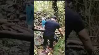 Welcome to the jungle #shorts #waterfall #nature #airterjun #curug