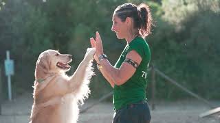 Servizi Dog Friendly | CLUB DEL SOLE 2024  (1 min Orizzontale)