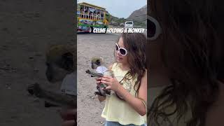 OMG celine was holding a real Monkey. #monkey #monkeys #monkeybaby #viral #family #familypet