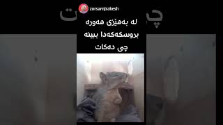 بەستەزمانە لە ترسا نازانێت چی بکات !