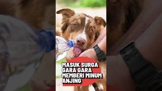 Kisah Pemuda Masuk Surga Gara Gara Memberi Minum Anjing #masuksurga  #faktaunik #kisah #shorts #fyp