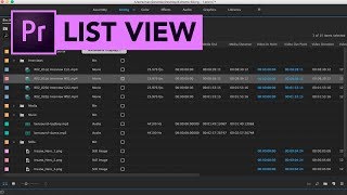 Organise Media Files in Adobe Premiere Pro (2018) [Urdu] [Hindi] [13]