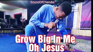 GROW BIG IN ME OH JESUS, PRAYER CHARGE - APOSTLE EDU UDECHUKWU