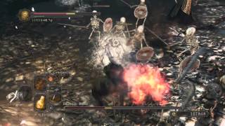 DARK SOULS II: Skeleton Lords Boss Fight (NG+)