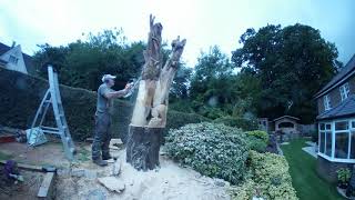 Day 5 - Time lapse - Carving a Cherry Tree with birds and animals