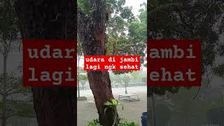 udara di jambi lagi ngk sehat #viral #trandding #jambi