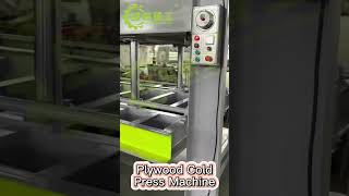 China Manufacturer Factory Plywood machine Making Production Cold Press Machine