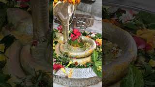 9-6-2024 शिव जी दर्शन #song #music #newsong #love #jharkhnd #hindudeity #food #india #lyrics #shiv