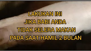 Perhatikan Saat Nafsu Makan Induk Babi Bunting 2 Bulan Berkurang