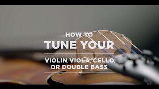 D'Addario Core: How to Tune Your Violin or Viola