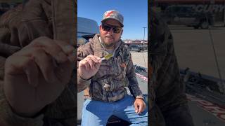 BASS FISHING TIPS: Drew Benton’s Crankbait Setup for the Bassmaster Classic🔥 #bassfishing #howto