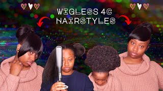 WIGLESS Options! Styling 4C Hair Ft. Wigtypes