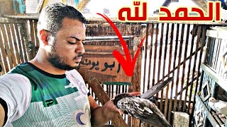 دخلة الموسم😔مش عارف افرح ولا ازعل🤦🏽🥴#pigeon