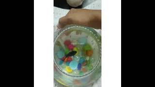 Fish Pot #shorts | Fish Tank | Playing With Fishes | Fish Pet