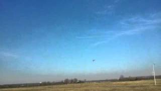 trex 500ESP maiden flight part 1