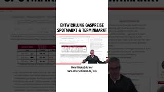 Entwicklung Gaspreise Spotmarkt & Terminmarkt