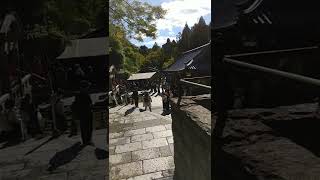 Kiyomizu Temple  Otowa Waterfall