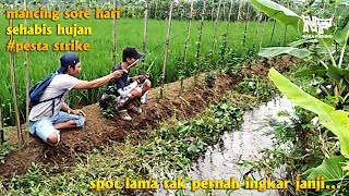 micro fishing || nemu sarang ikan dibawah rumput || ikan pada kelaparan #microfishing #nakafishing