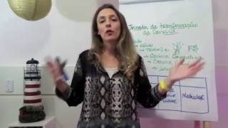 Você tem um Trabalho ou uma Carreira? Descubra