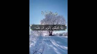 آیة الکرسی