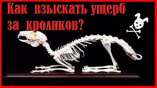 ОТРАВЛЕНИЕ КОМБИКОРМОМ / Как взыскать ущерб?