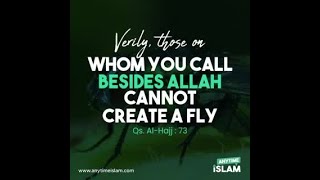 Verily, those on whom you call besides Allah can not create a fly - Surah: Al-Hajj: 73