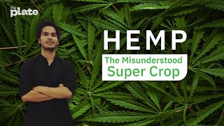 Hemp: The Misunderstood Super Crop