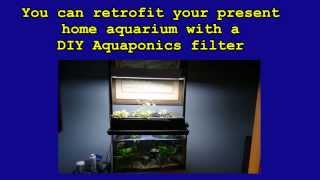 nitrate filter for aquarium