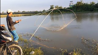 Cari Ikan Panen Anakan Ikan Nila || tangkul ikan