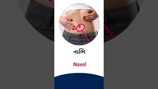 Navel meaning in Gujarati - English Dictionary