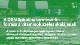 DXN Spirulina, a természetes szuperélelmiszer