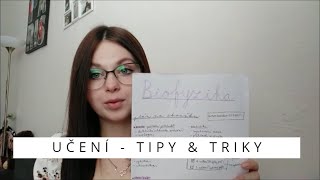 Jak se učit? Tipy & triky, aby to šlo lépe