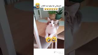 اضحك من قلبك 😂😂