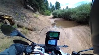 Aprilia Tuareg 660 riding in Pike Natl Forest Colorado