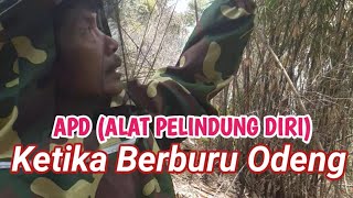 Peralatan APD yang harus di Pakai Ketika Mengambil Lebah Odeng.