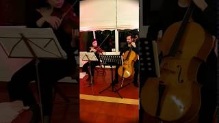 PaivaSom Eventos - Violino e Violoncelo Performance 02