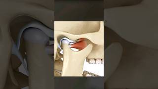 Jawbone 3d animation video Human body #shorts