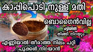 കാപ്പിപ്പൊടി ഉണ്ടോ?? പത്തുദിവസം കൊണ്ട് പൂക്കൾ നിറക്കാം /flowering boost /poppy vlogs /malayalam