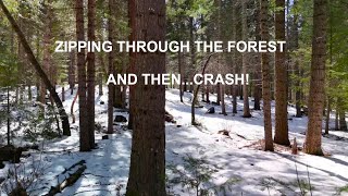 Zipping Through the Forest, And Then...CRASH