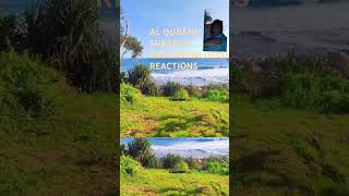 AL QURAN,SURAH AL BAKARA AYAT:186,URDU REACTIONS #nature #sortvidio