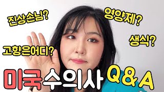 미국수의사  Q&A