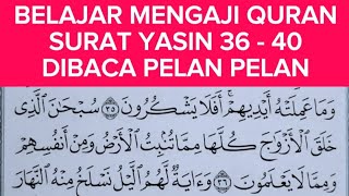 CARA MUDAH BELAJAR MENGAJI ALQURAN SURAH YASIN  AYAT 36-40 KHUSUS PEMULA,LANSIA DENGAN METODE TARTIL