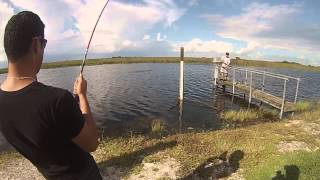 Daniel Perez Pescando Jacare FL