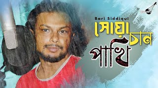 সোয়া চাঁন পাখি | Shuya Chan Pakhi | বারী সিদ্দিকী | Rinku | Bangla Folk Song | Band Aadi