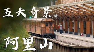 驚豔阿里山!! 一日收集五景的美麗面紗 (日出、鐵道、森林、雲海、晚霞)  旅行貓頭鷹