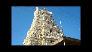 Kamalavalli Nachiyar   Sri Azhahiya Manavala Perumal Temple   Panguni Uthiram   Woraiyur   Trichy