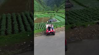 Dieng Wonosobo