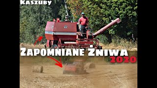 🔥Wrześniowa Kampania Żniwna🔥60-ta dostaje po garach🔥Ostatnie Żniwa🔥Ursus I MF buszujące na polu🔥